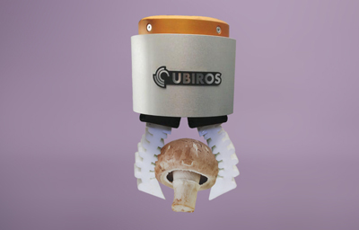 Mushroom Pick and Place Mushroom Packaging
