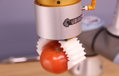 Fresh Produce Handling & Packaging Robotic Packaging Fresh