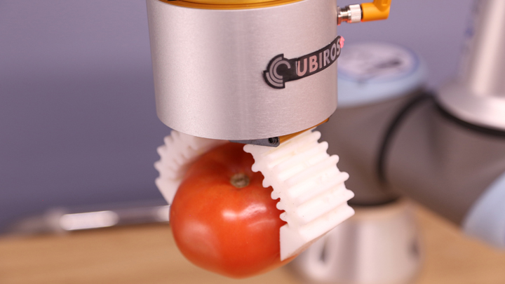 Tomato Handling & Packaging Tomato Packaging